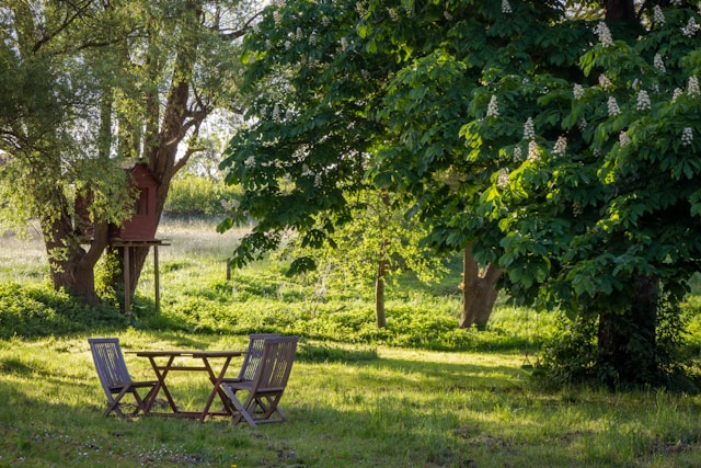 brown-wooden-bench-under-green-tree-during-daytime